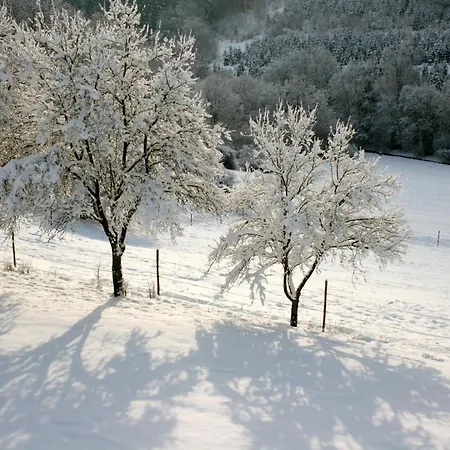Eifel Rebeige Gerolstein Appartement