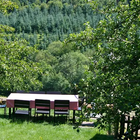 Eifel Rebeige Gerolstein * Kopp