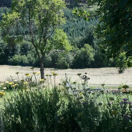 Eifel Rebeige Gerolstein