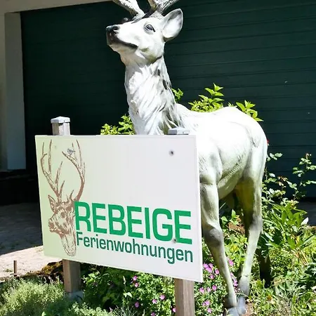 Apartment Eifel Rebeige Gerolstein *