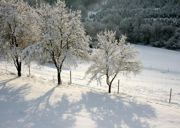 Eifel Rebeige Gerolstein Apartament