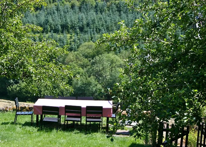 Eifel Rebeige Gerolstein * Kopp