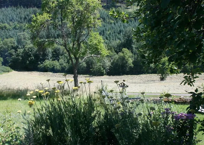 Eifel Rebeige Gerolstein