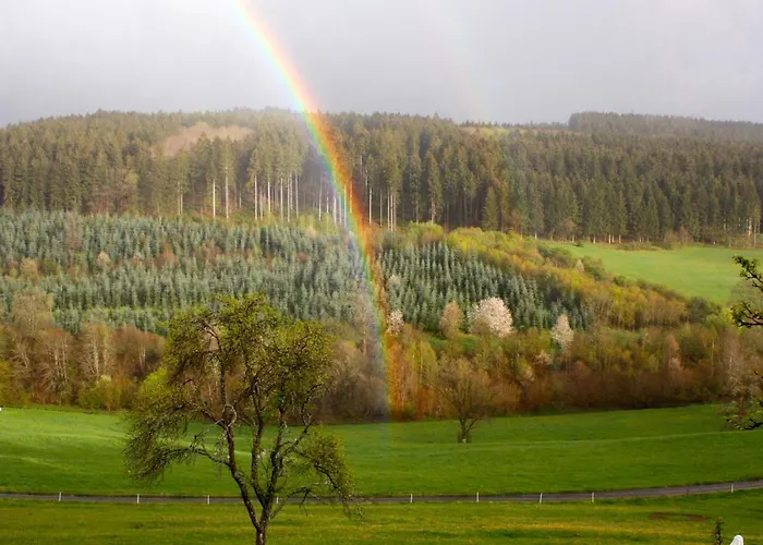 Eifel Rebeige Gerolstein Kopp